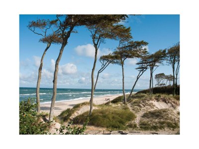 Holiday apartment Hus Utspann: sunset glow - Environment photo 23