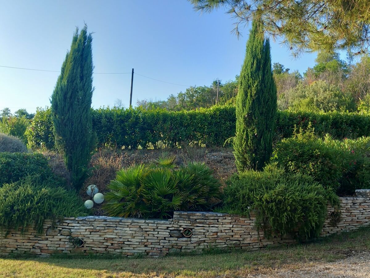 Holiday house Il Casolare - Outdoor photo 2