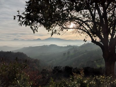 Holiday house Il Casolare - Outdoor photo 5
