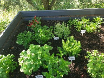 Holiday house Il Casolare - Outdoor photo 7