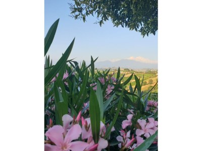 Holiday house Il Casolare - Outdoor photo 9