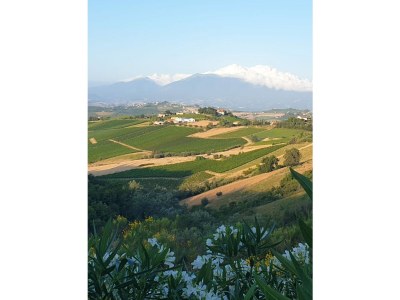 Holiday house Il Casolare - Outdoor photo 11