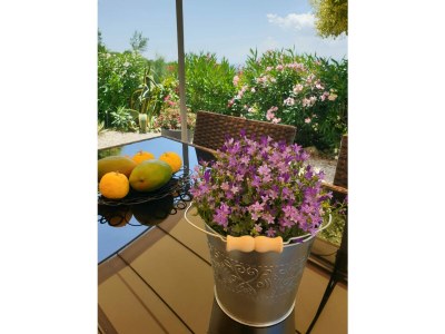 Holiday house Il Casolare - Outdoor photo 13