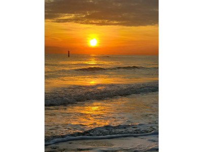 Holiday house Il Casolare - Environment photo 25