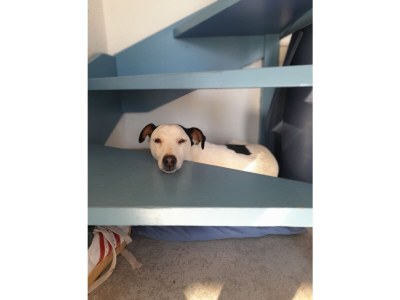 Holiday house mas de perimont - Features photo 22