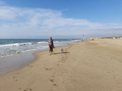 Holiday house mas de perimont - Environment photo 33