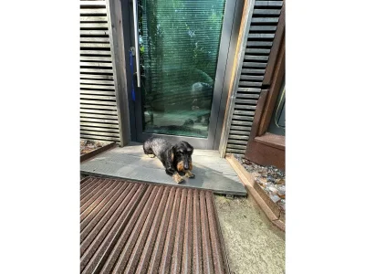 Holiday apartment Dünenoase Sandkiste - Outdoor photo 8