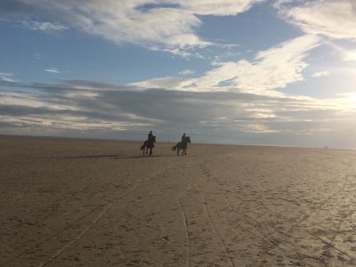 Holiday apartment Dünenoase Sandkiste - Environment photo 25