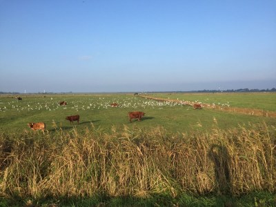 Holiday apartment Dünenoase Sandkiste - Environment photo 26