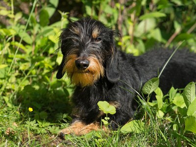 Holiday apartment Dünenoase Sandkiste - Environment photo 27