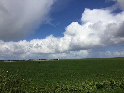 Holiday apartment Dünenoase Sandkiste - Environment photo 28