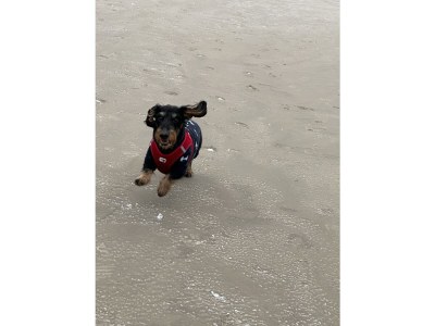 Holiday apartment Dünenoase Sandkiste - Environment photo 32