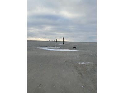 Holiday apartment Dünenoase Sandkiste - Environment photo 34