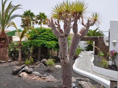 Villa Casa Moana - Outdoor photo 10