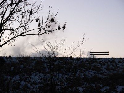 Holiday apartment View of the dike - Outdoor photo 6