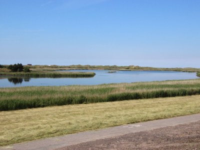 Holiday apartment View of the dike - Environment photo 16