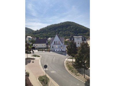 Holiday apartment Am Tannenkopf - Outdoor photo 6