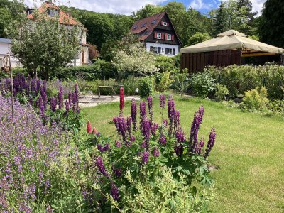 Holiday apartment Am Tannenkopf - Outdoor photo 11