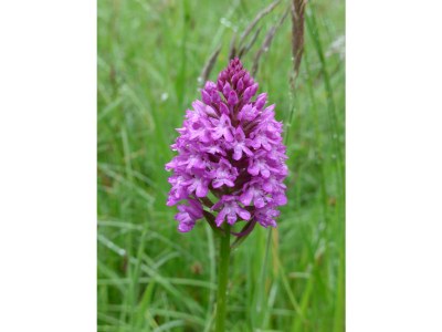 Holiday apartment Katja - Environment photo 21