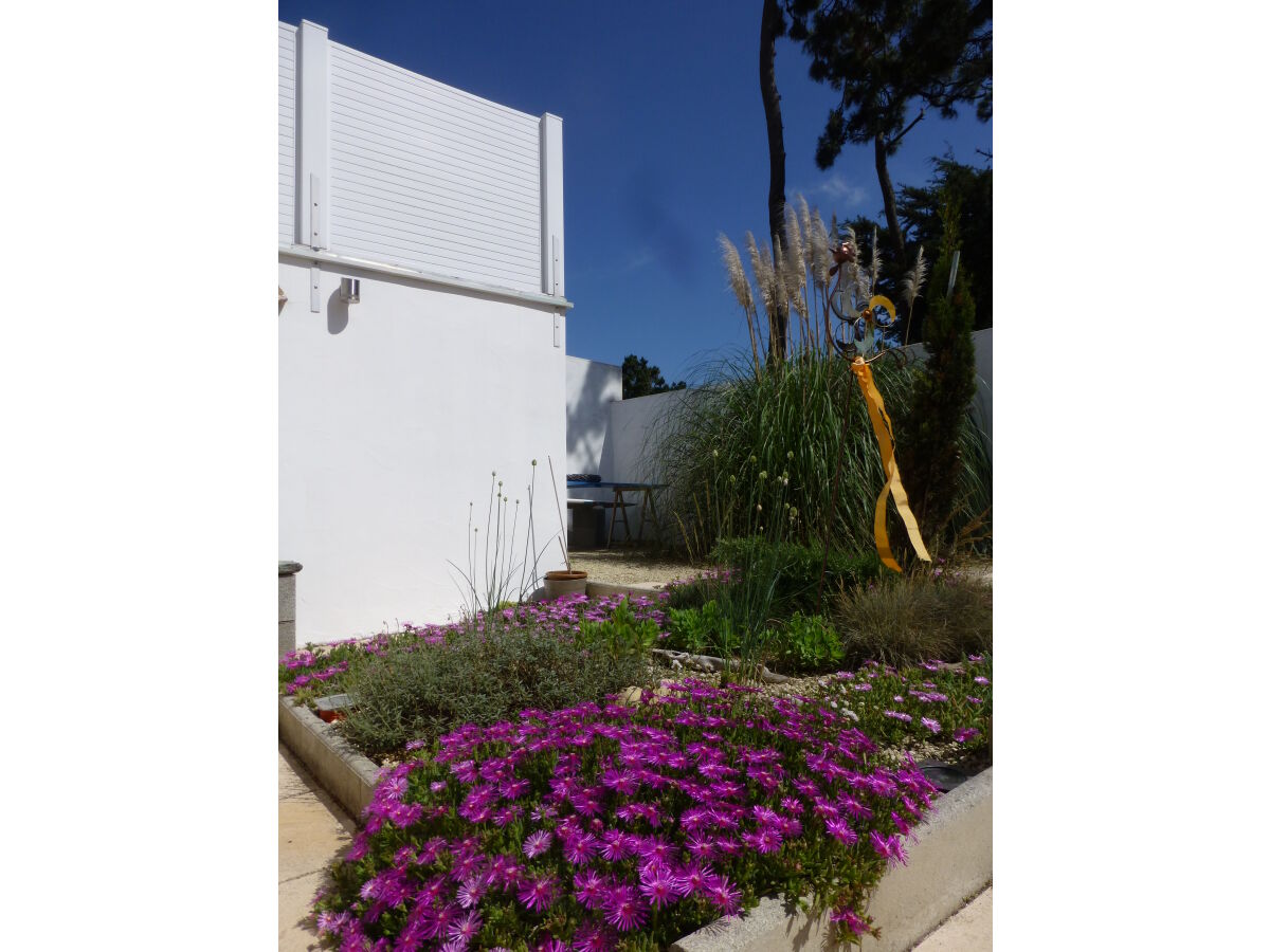 Holiday house Raynaud Dunes - Outdoor photo 2
