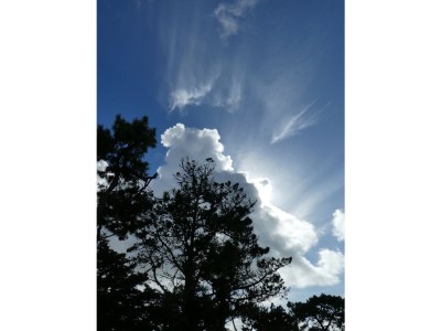Holiday house Raynaud Dunes - Outdoor photo 4