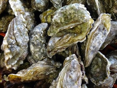 Holiday house Raynaud Dunes - Environment photo 26