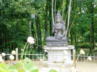 Holiday house Raynaud Dunes - Environment photo 33