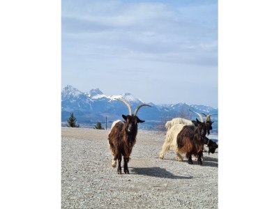 Holiday house Ferienhaus 65 - Environment photo 27