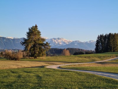 Holiday house Ferienhaus 65 - Environment photo 29