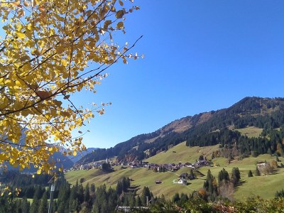 Holiday house Chalet Holidayfritz - Environment photo 31