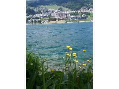 Holiday apartment Müller - Environment photo 24