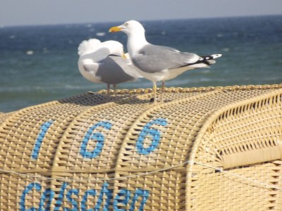 Holiday house Sarah - Environment photo 18