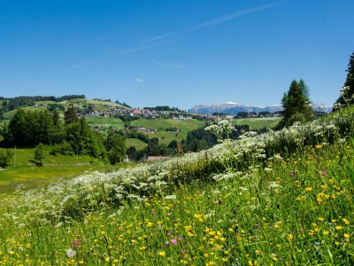 Holiday apartment Dolomites - Environment photo 13