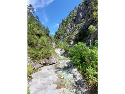 Bungalow Familie Eberl - Environment photo 27