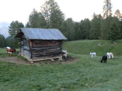 Holiday apartment Fossé - Environment photo 20