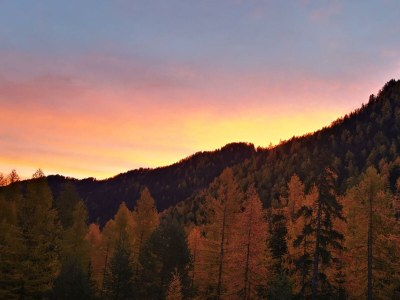 Holiday apartment Fossé - Environment photo 23