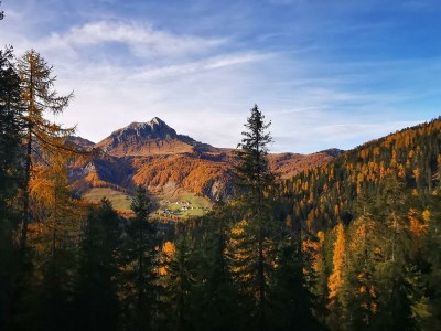 Holiday apartment Fossé - Environment photo 24