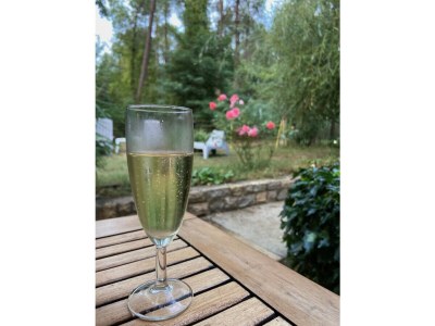 Villa Petit Bazy. - Outdoor photo 11