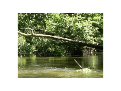 Villa Petit Bazy. - Environment photo 38