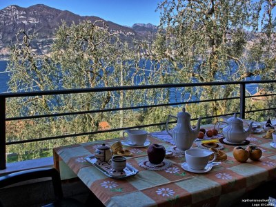 Holiday apartment Lake Garda Farmhouse - Outdoor photo 10