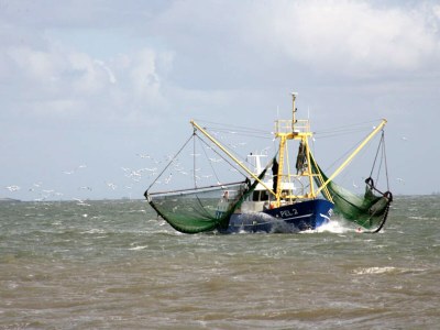 Holiday apartment Leuchtturm auf dem Kastanienhof - Environment photo 16