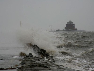 Holiday apartment Leuchtturm auf dem Kastanienhof - Environment photo 19