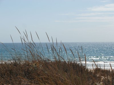 Holiday house Aroeira - Environment photo 26