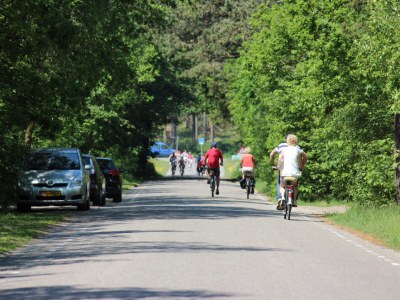 Holiday house Reetdach Eldorado - Environment photo 21