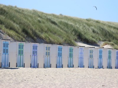 Holiday house Reetdach Eldorado - Environment photo 22