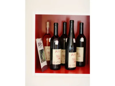 Holiday apartment Lieblingswohnung im Elbtal - Features photo 19