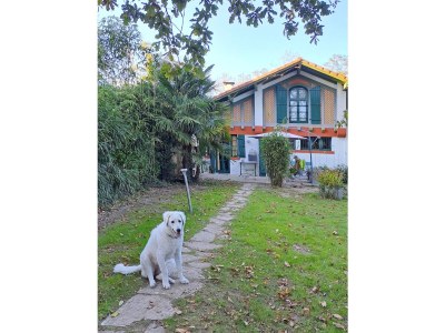Holiday house "Petit Bazy", small house. - Outdoor photo 12