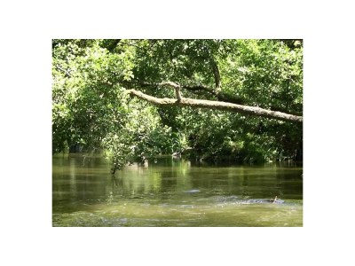 Holiday house "Petit Bazy", small house. - Environment photo 30