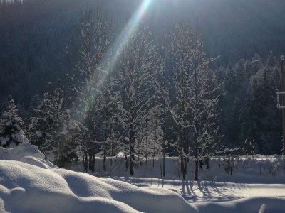 Holiday apartment Johanna - Outdoor photo 7