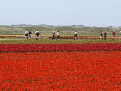 Holiday house De Jonge - Environment photo 14